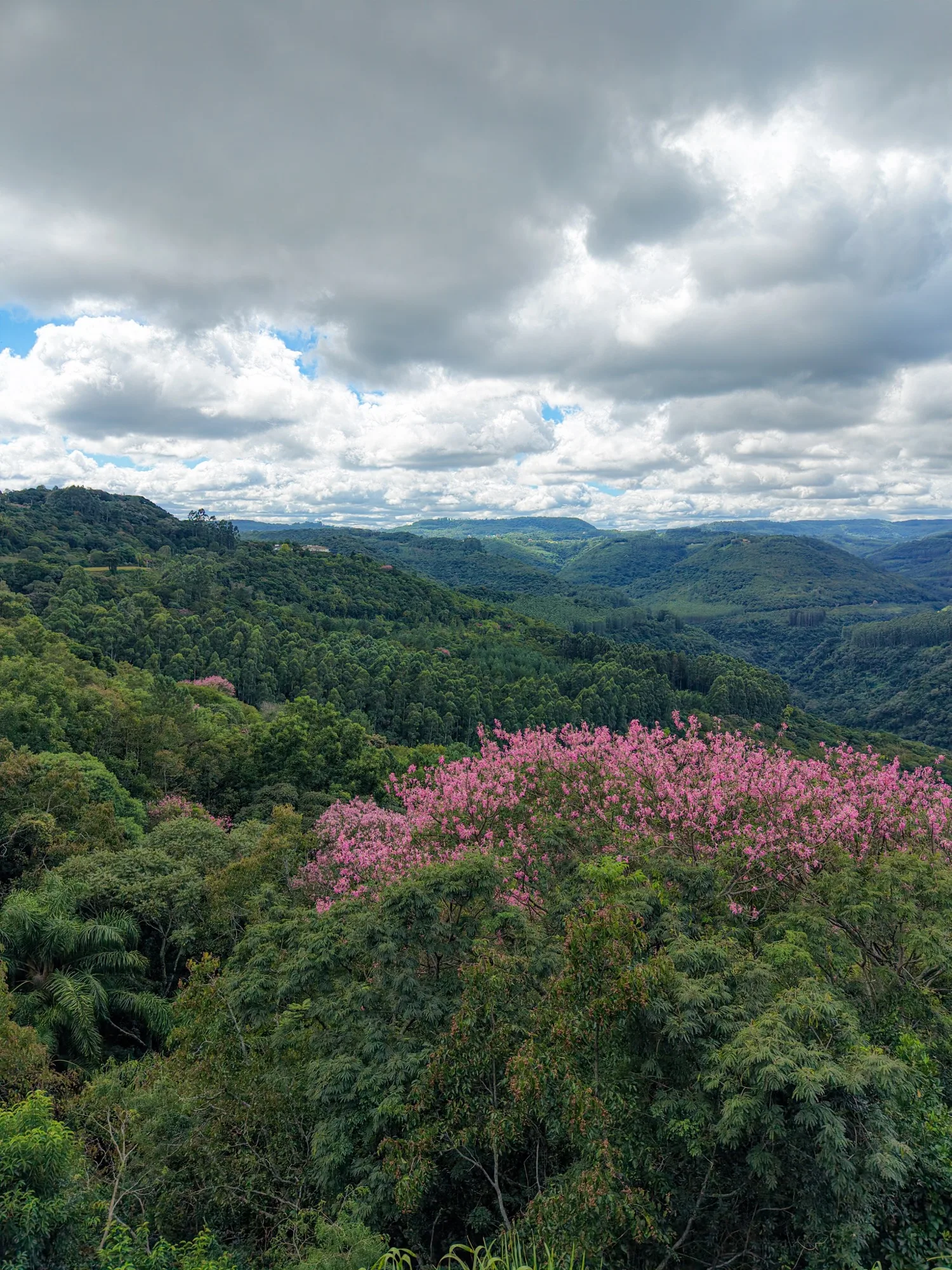 Vales verdes da Serra Gaúcha vistos em Nova Petrópolis.