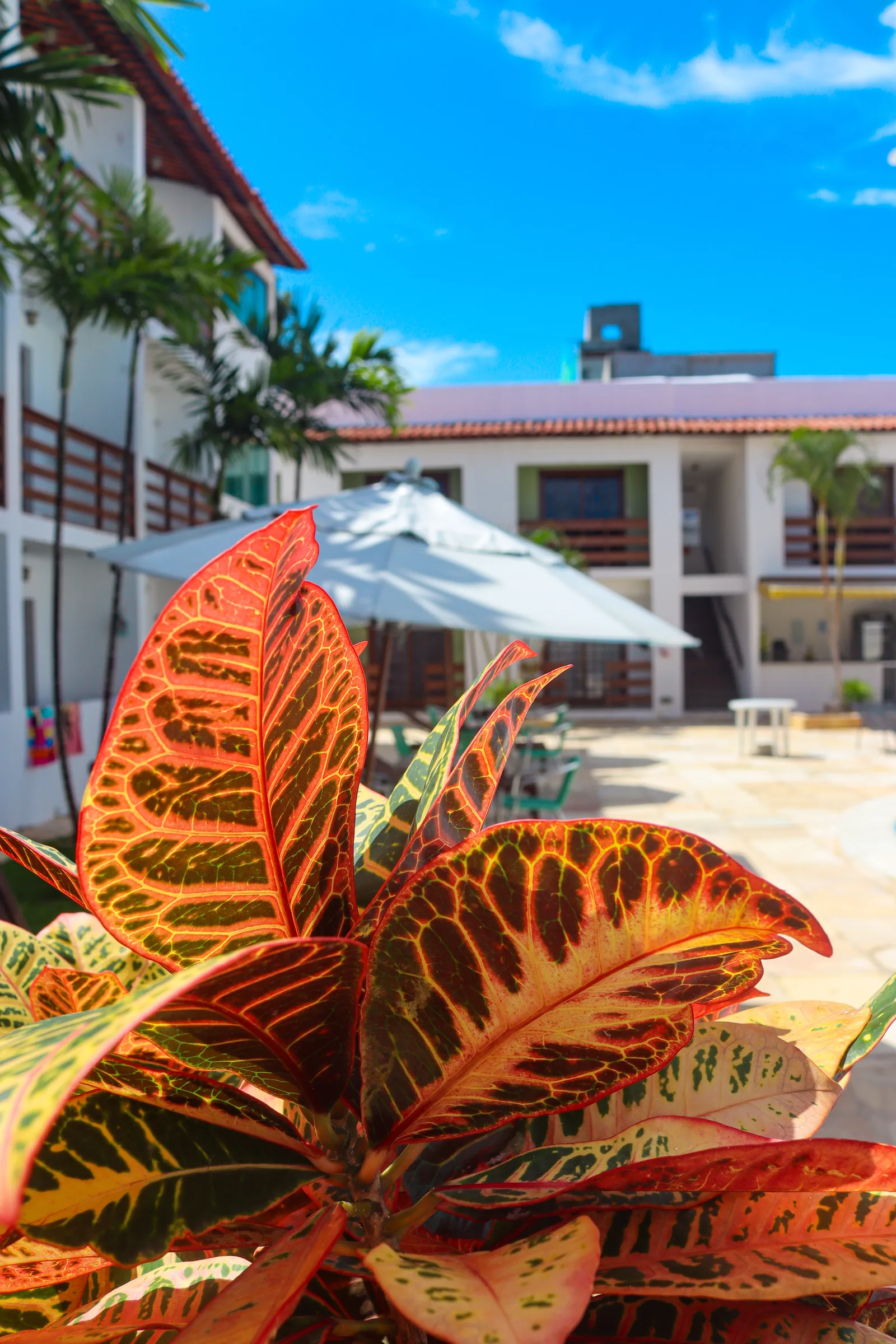 Estação do Sol Praia Hotel: Detalhes